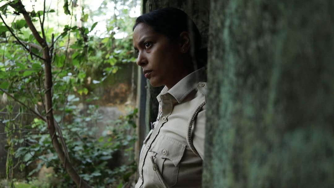 Сантош backdrop 12