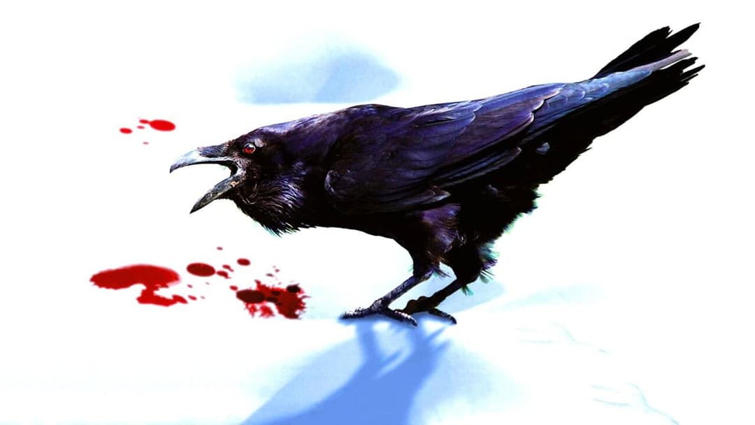 A Simple Plan backdrop 5