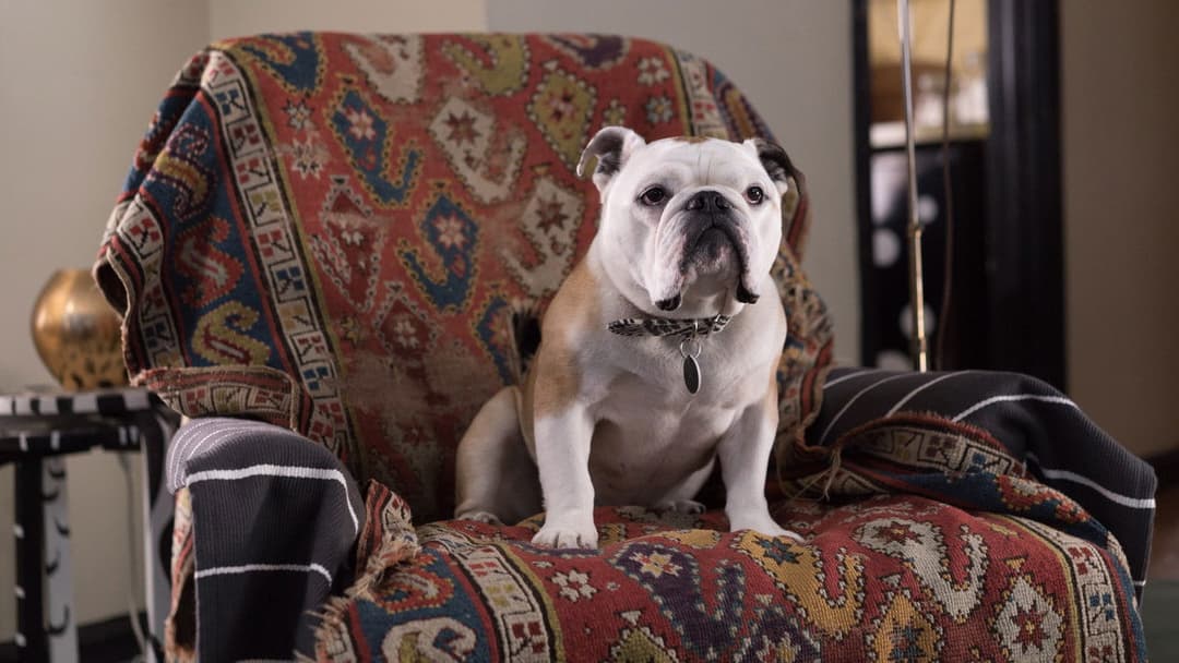 Paterson backdrop 14