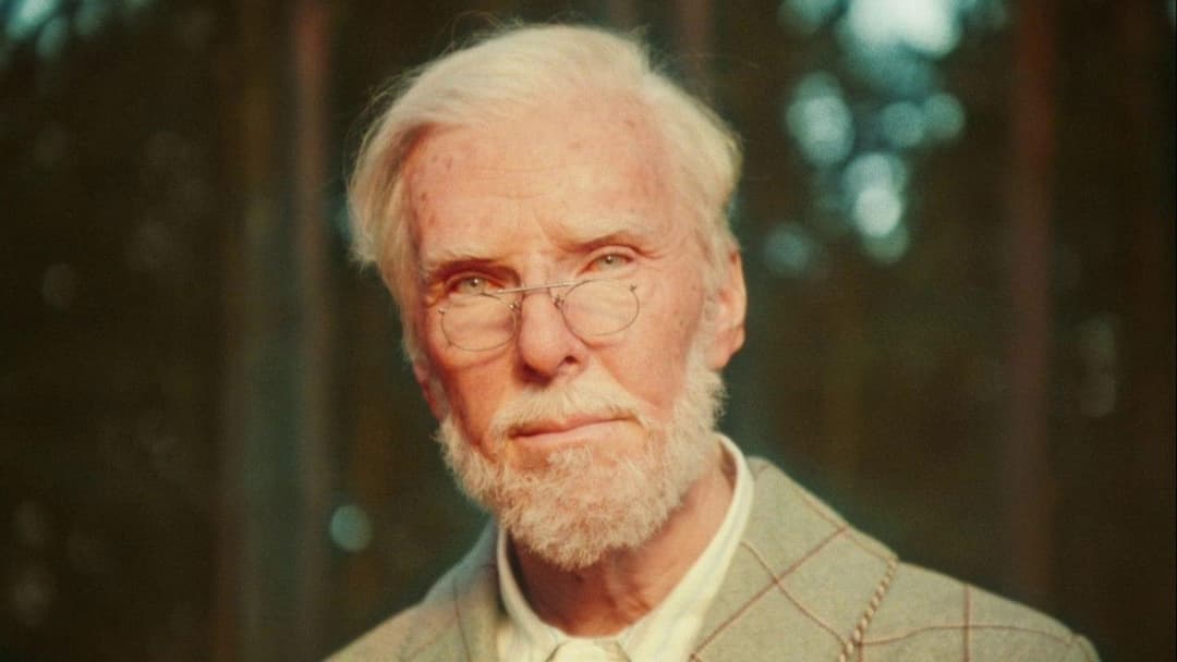 Котячі світи Луїса Вейна backdrop 10