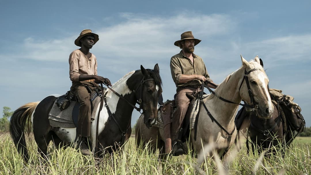 High Ground backdrop 4