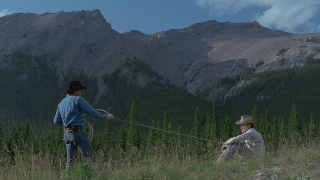 Brokeback Mountain backdrop 14