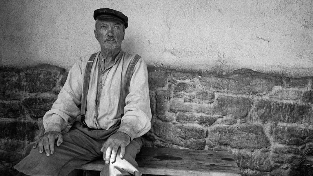 The Painted Bird backdrop 14