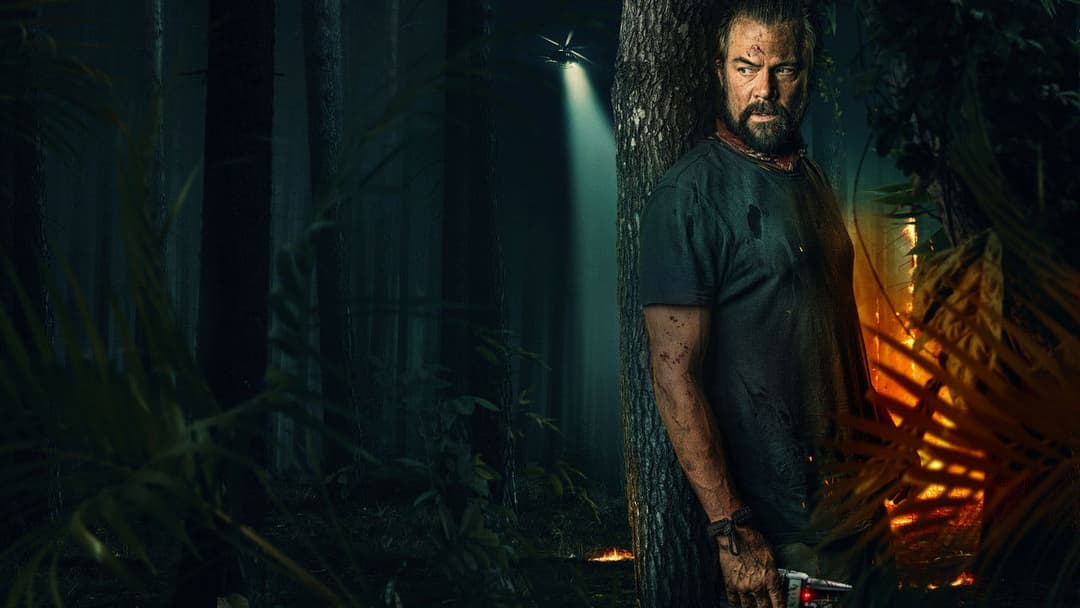 Поза мережею backdrop 13