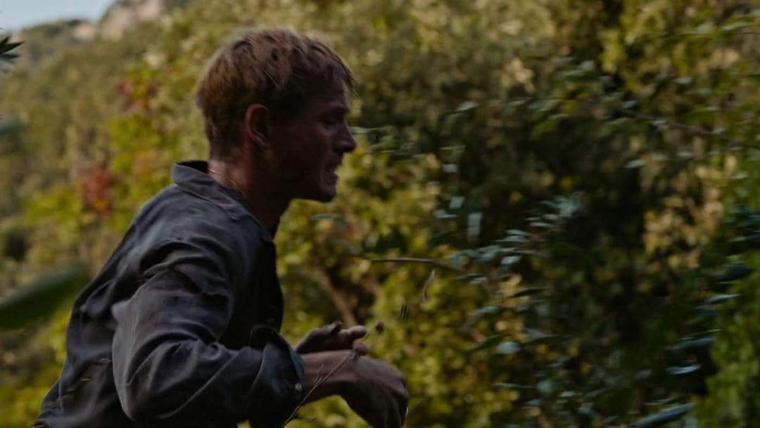 Triangle of Sadness backdrop 8