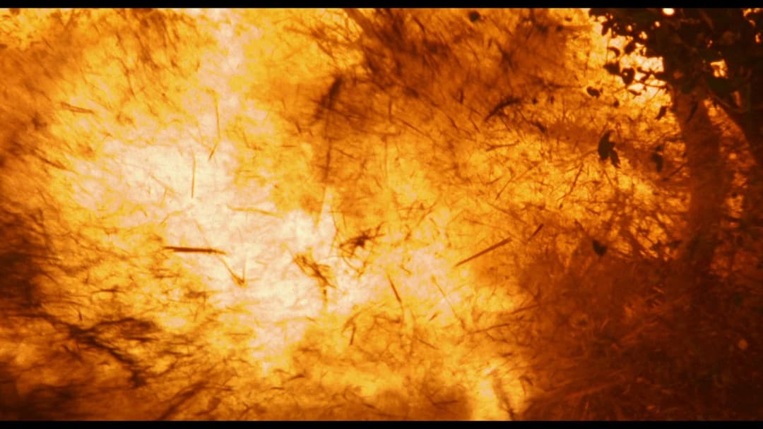 Драбина Якова backdrop 11