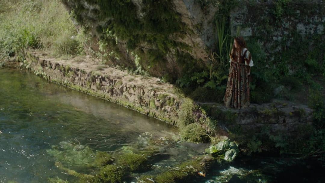 Розаліна backdrop 5