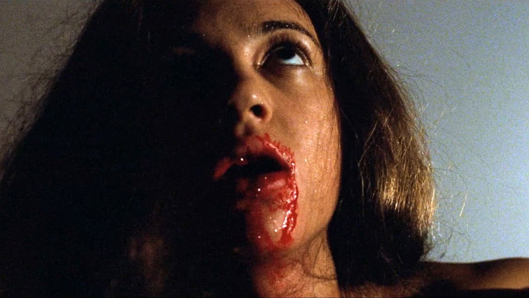 The Stendhal Syndrome backdrop 1