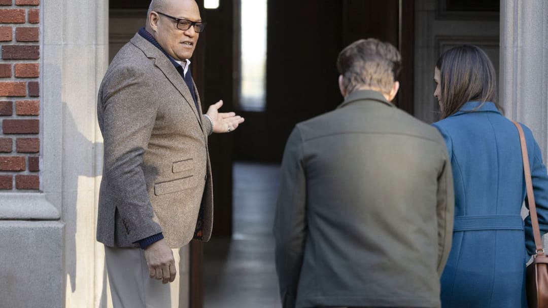 Cellar Door backdrop 12