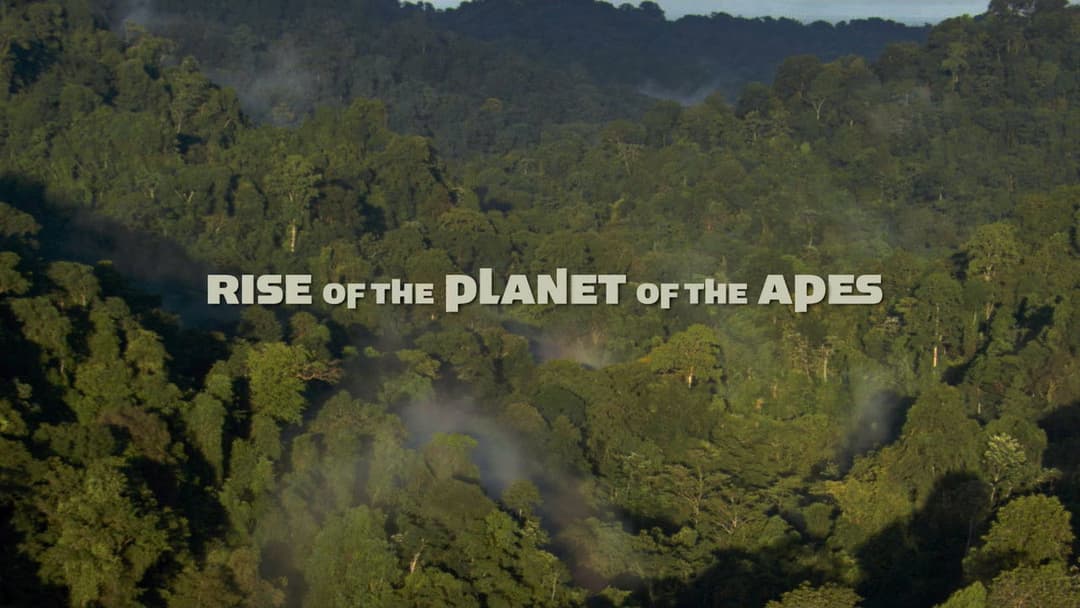 Rise of the Planet of the Apes backdrop 16