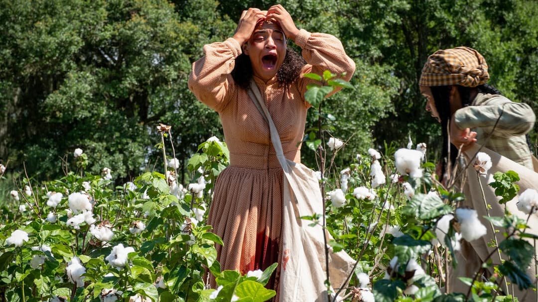 Antebellum backdrop 14