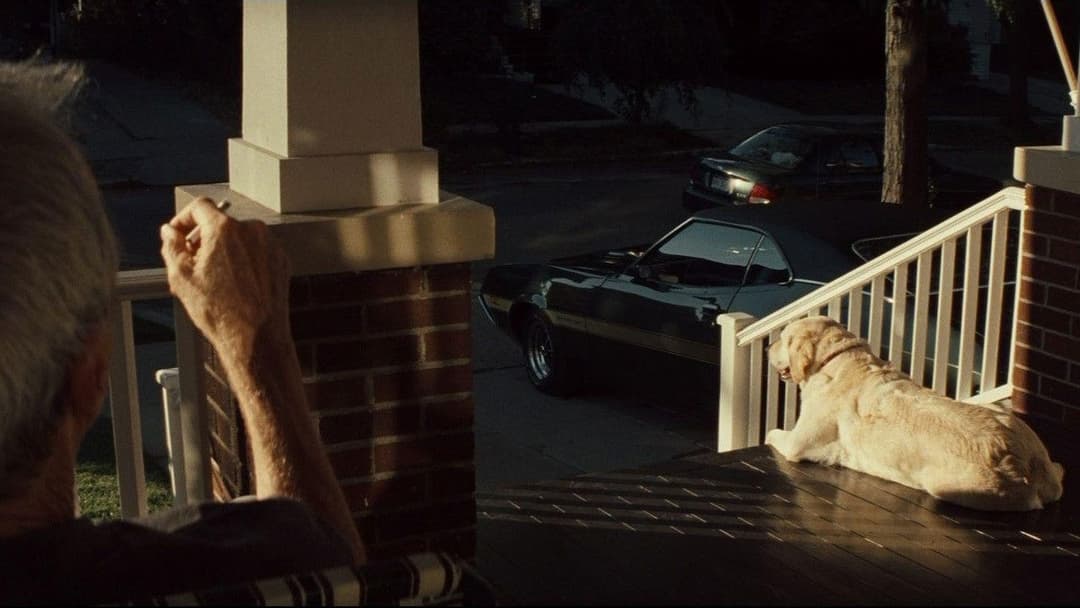 Gran Torino backdrop 16