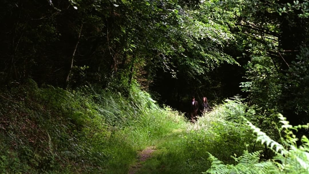 Вітер, що гойдає верес backdrop 7