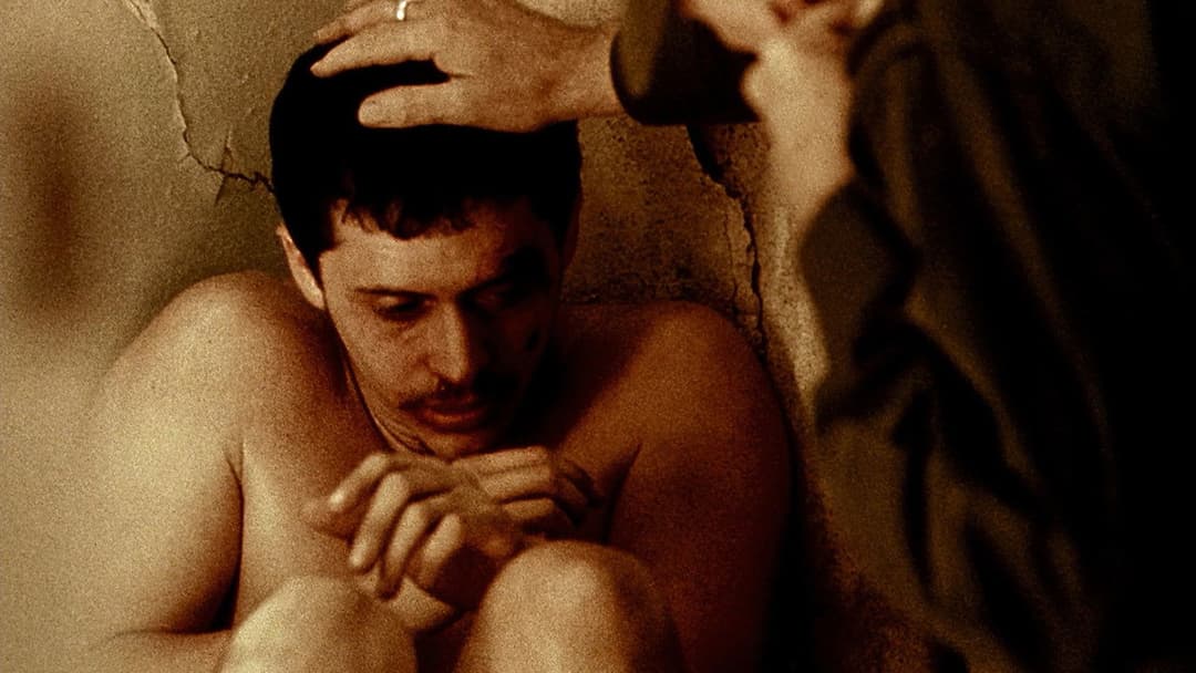 Трафік backdrop 10