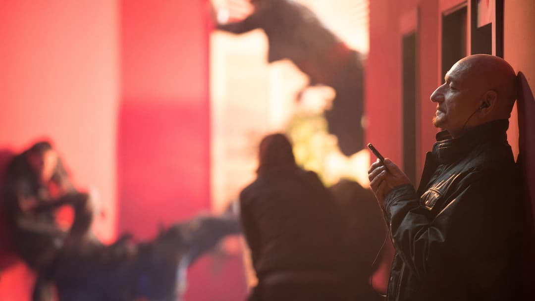 Security backdrop 16