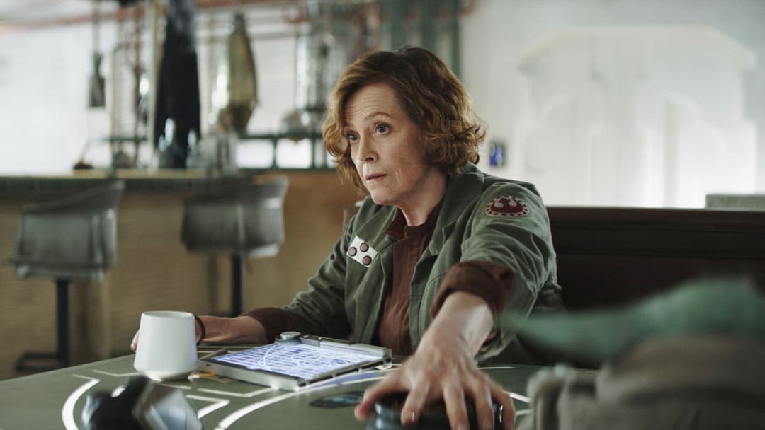 Star Wars: The Mandalorian and Grogu backdrop 19