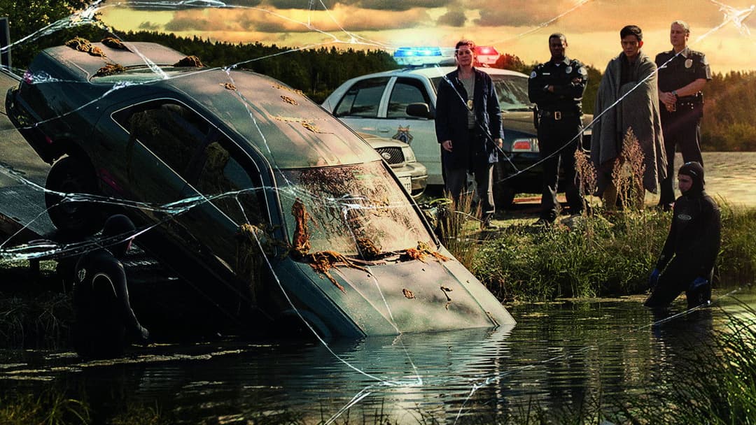 Searching backdrop 6