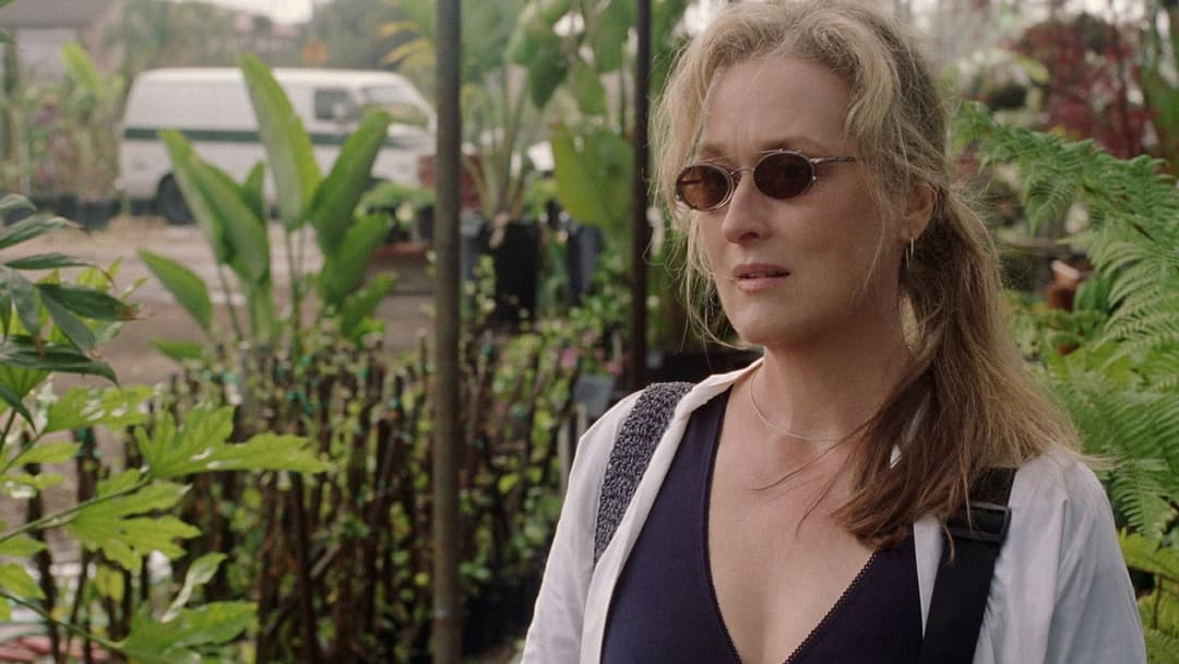 Adaptation. backdrop 15