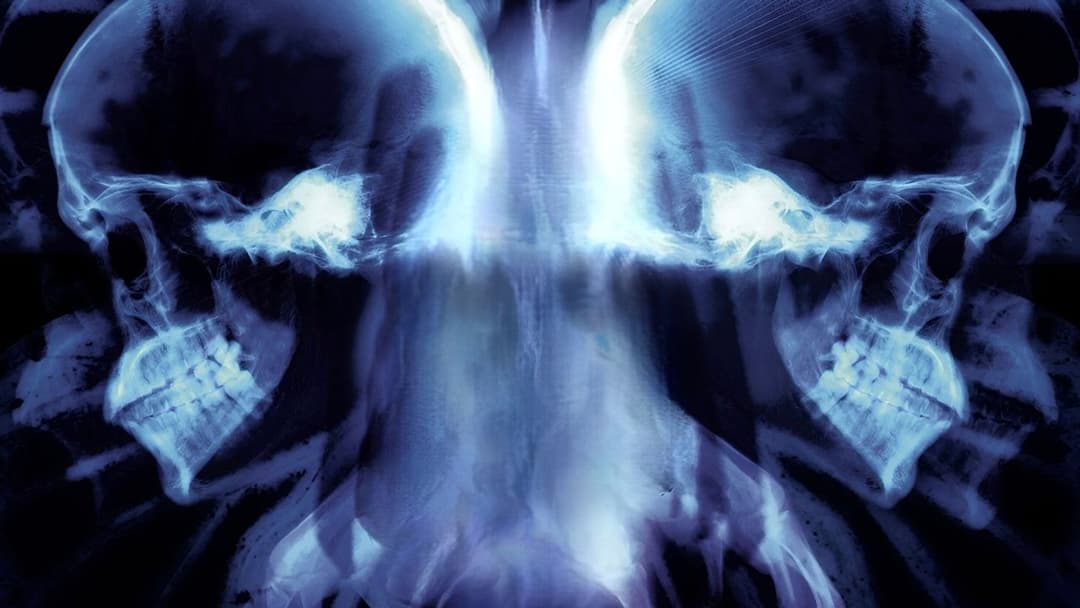 The Butterfly Effect backdrop 12