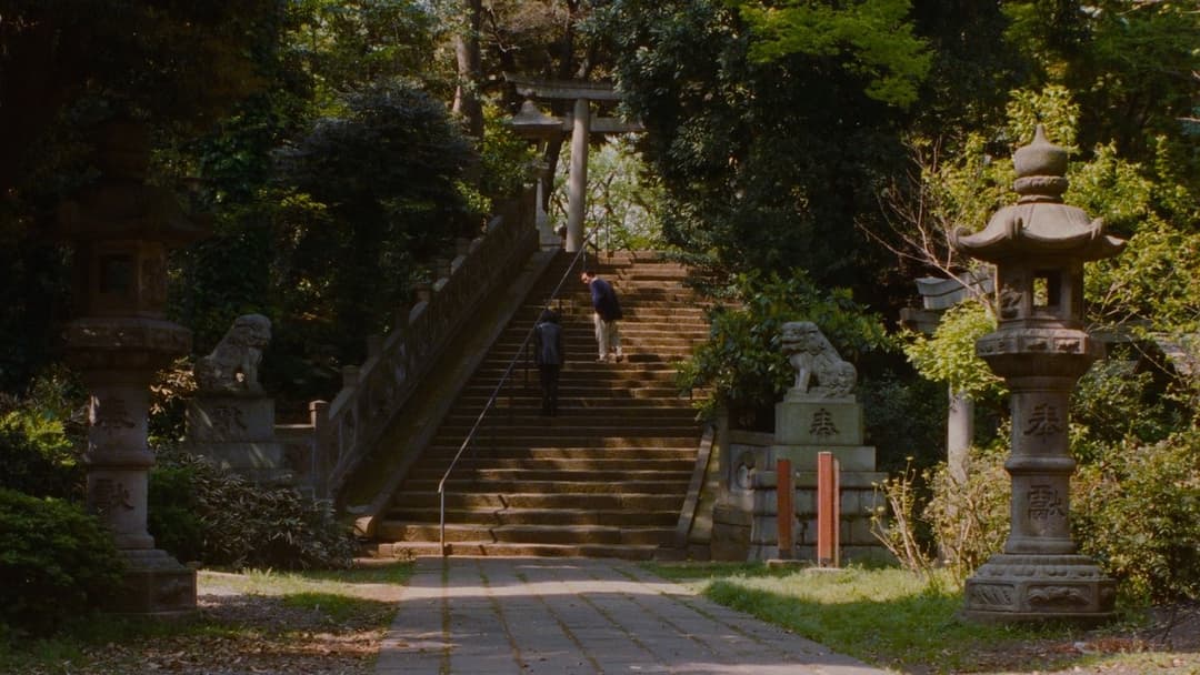 Один і два backdrop 11