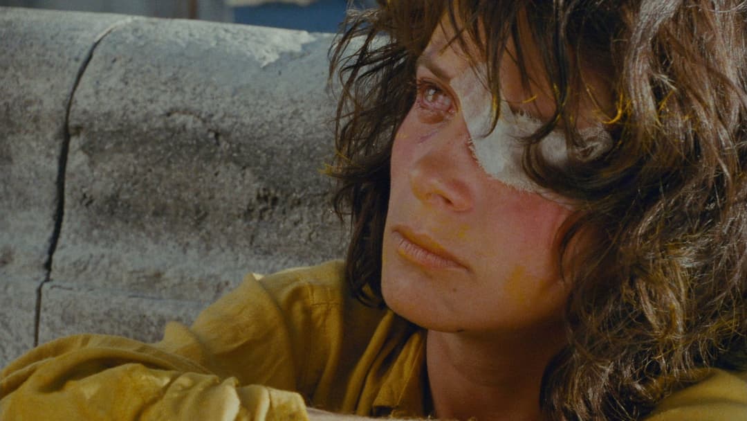 Les Amants du Pont-Neuf backdrop 1