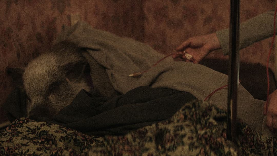 Birth/Rebirth backdrop 7