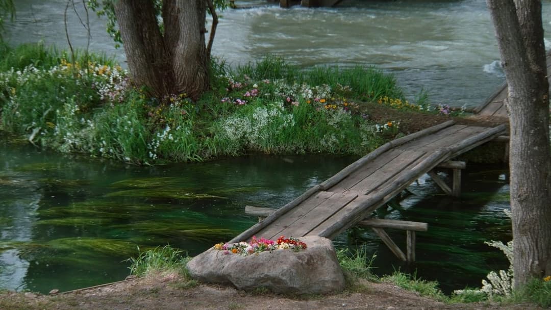 Сни Акіри Куросави backdrop 9