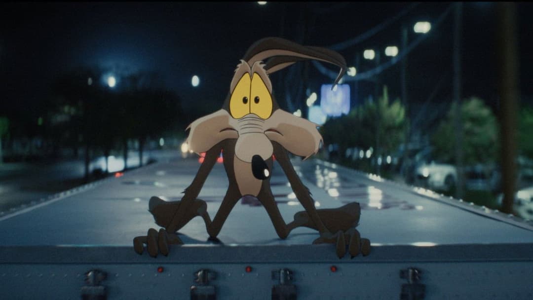 Coyote vs. Acme backdrop 5