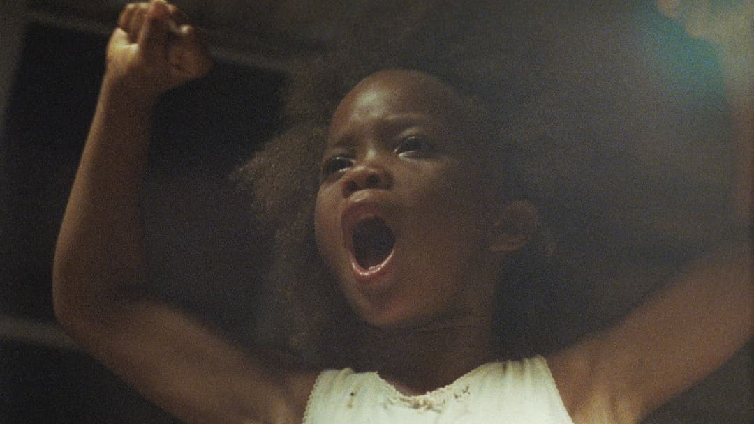 Beasts of the Southern Wild backdrop 10