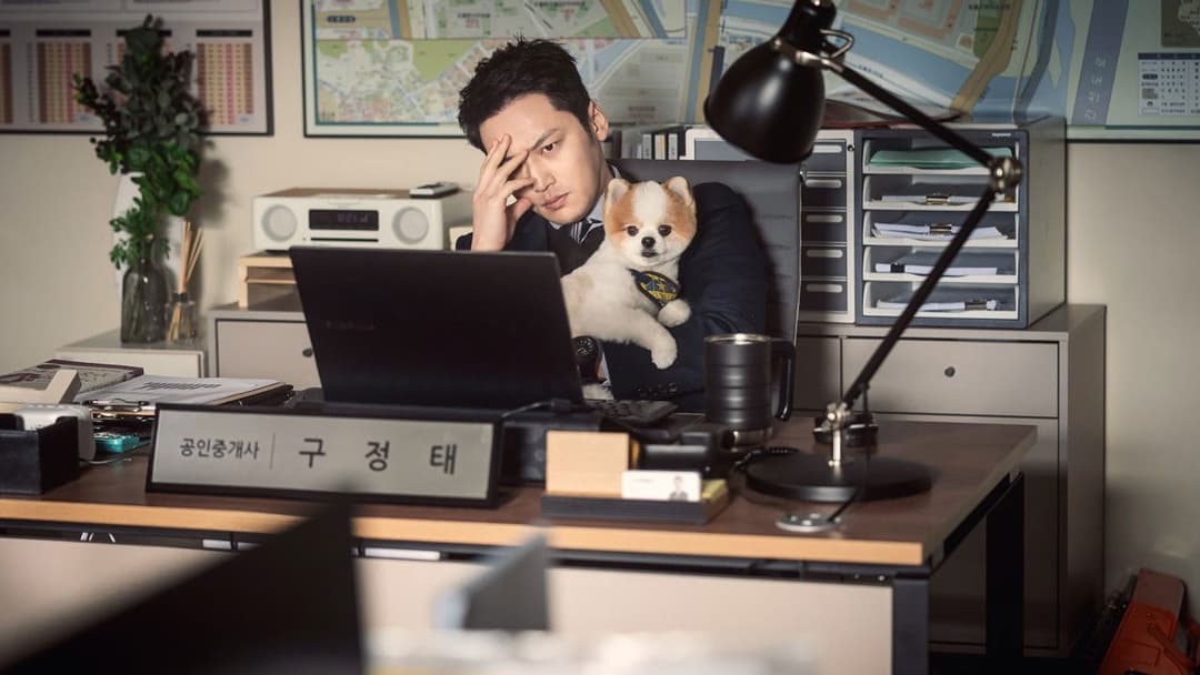 Following backdrop 6