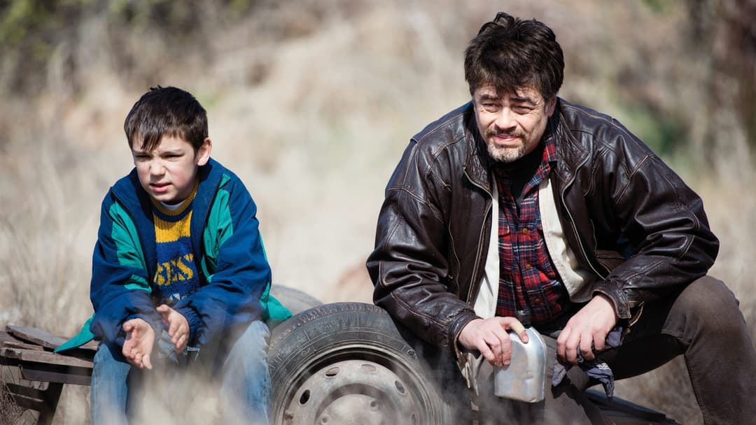 A Perfect Day backdrop 7