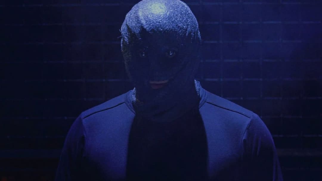 The Collection backdrop 8