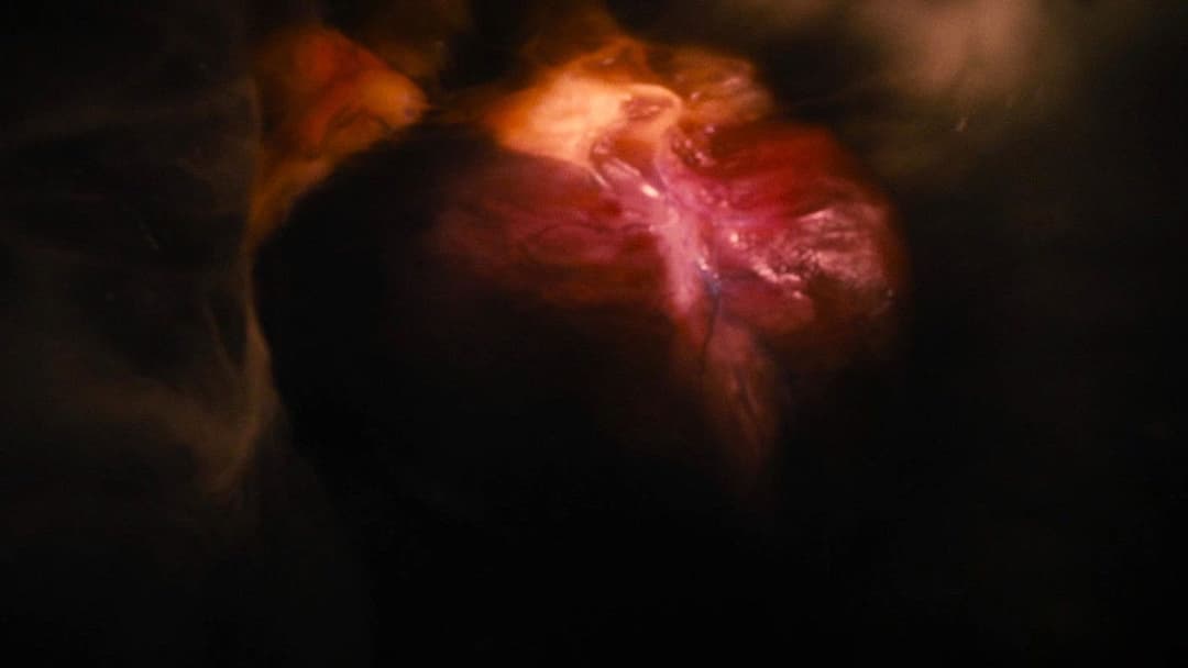 Warm Bodies - Zombies mit Herz backdrop 11