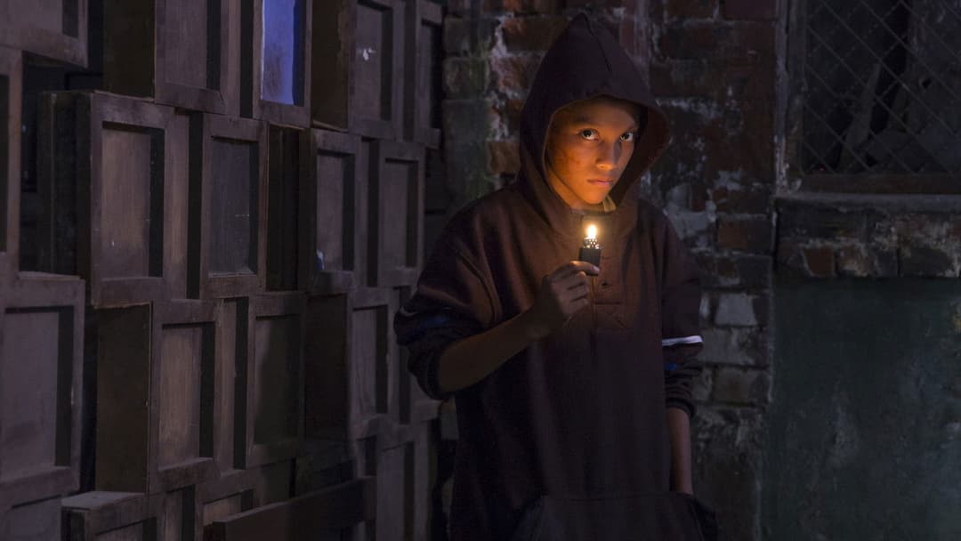 Tigers Are Not Afraid backdrop 4