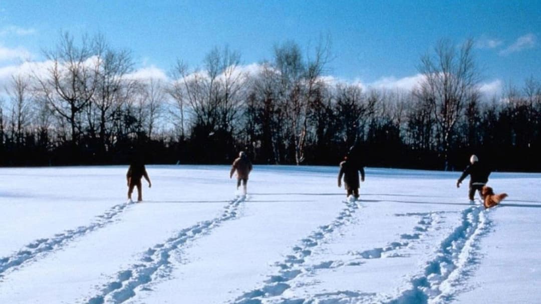 A Simple Plan backdrop 19