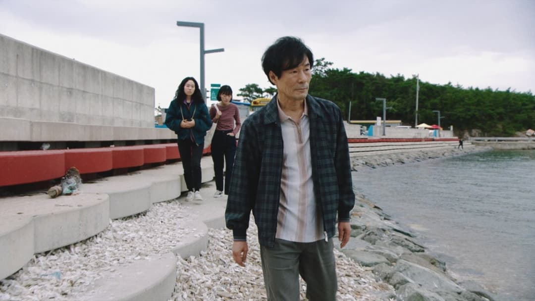 Rückkehr nach Seoul backdrop 5