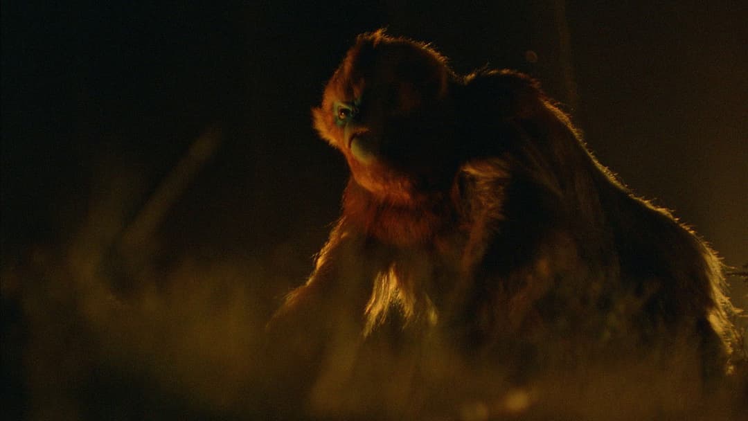 Die Legende von Ochi backdrop 18