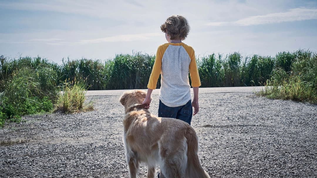 Im hohen Gras backdrop 7