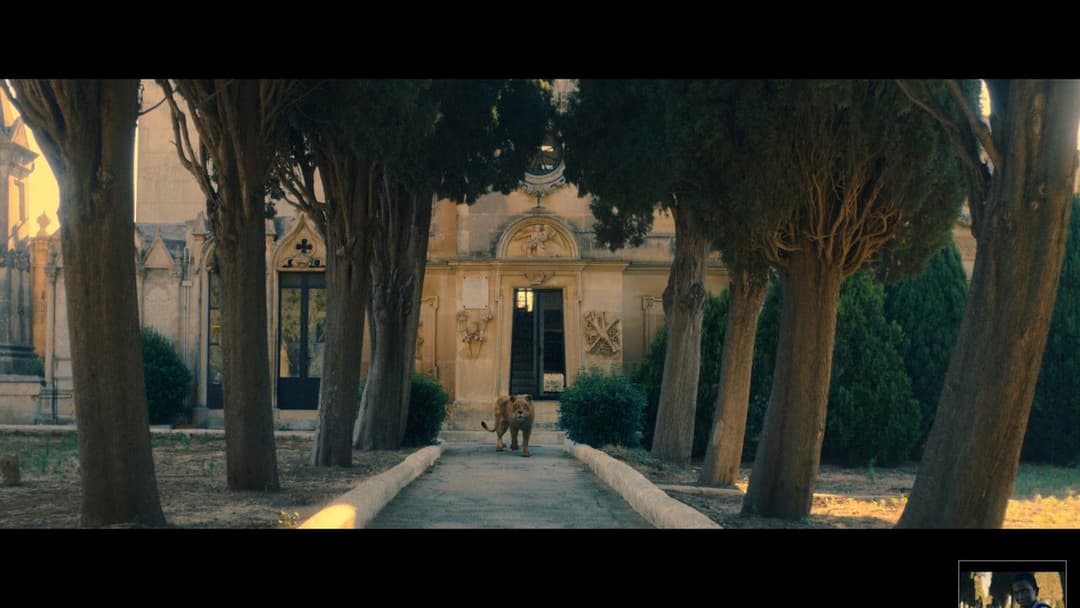 Du hast das Leben vor dir backdrop 12