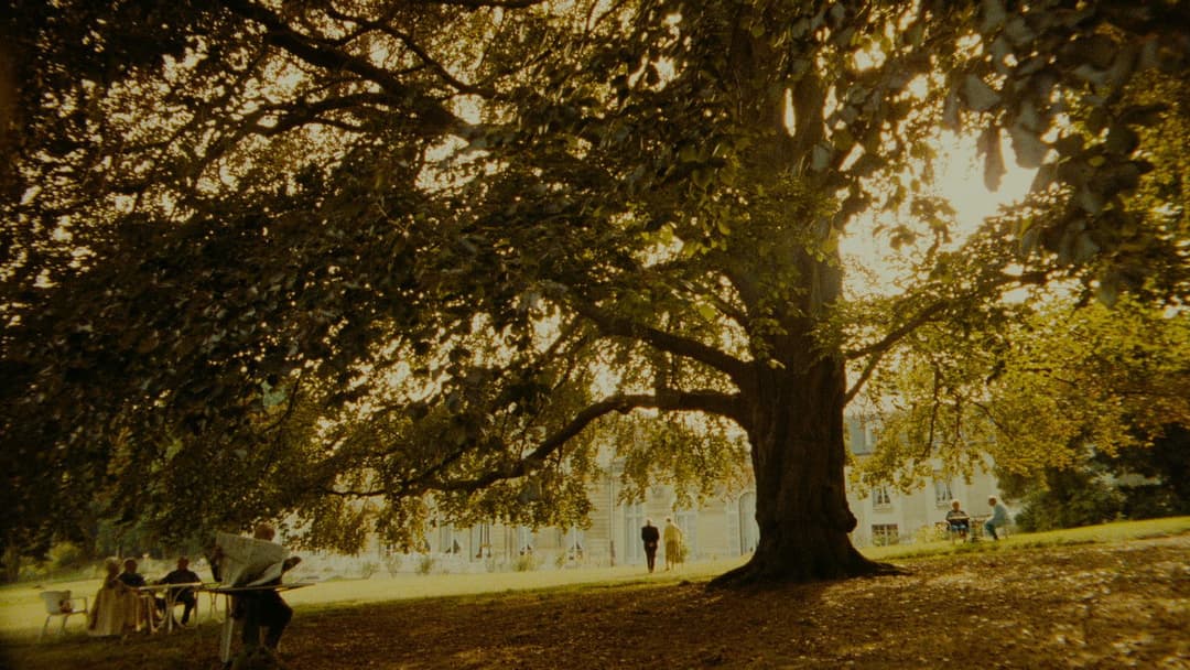 Drei Farben: Blau backdrop 14