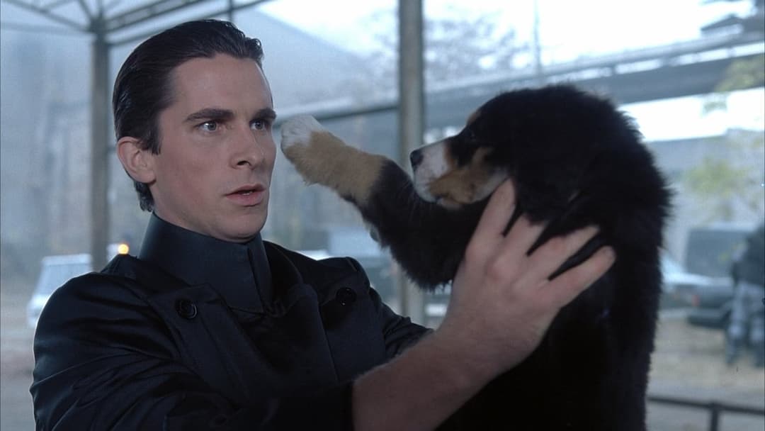 Equilibrium backdrop 14