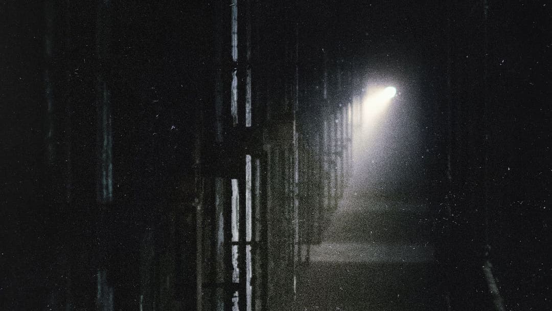 Shelby Oaks backdrop 10