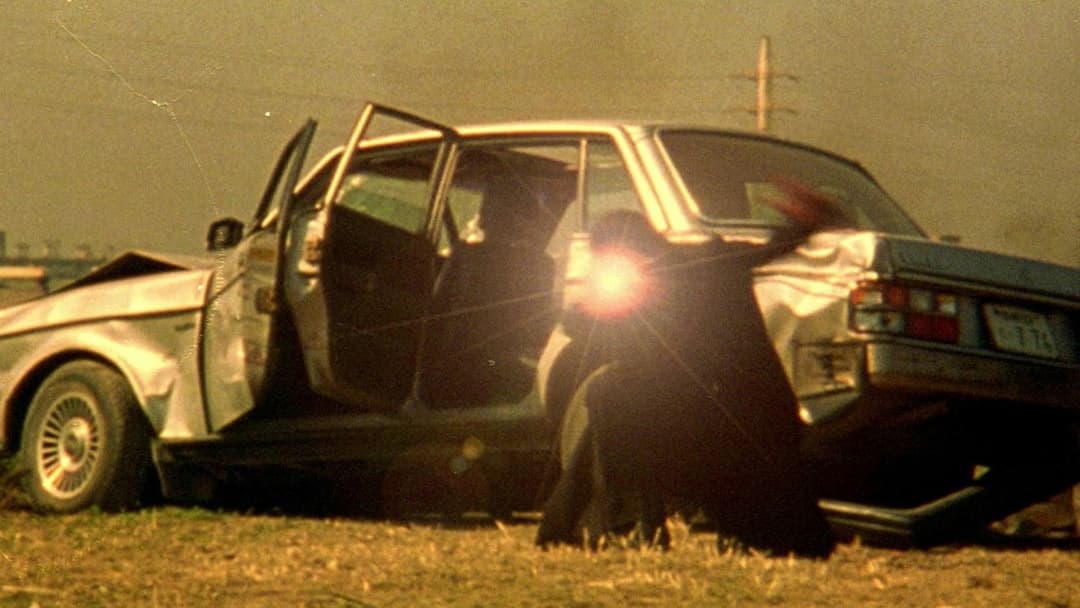 Dead or Alive backdrop 10