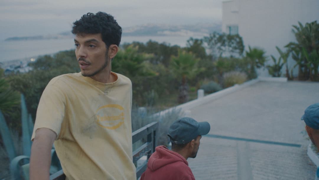 Derrière les palmiers backdrop 9