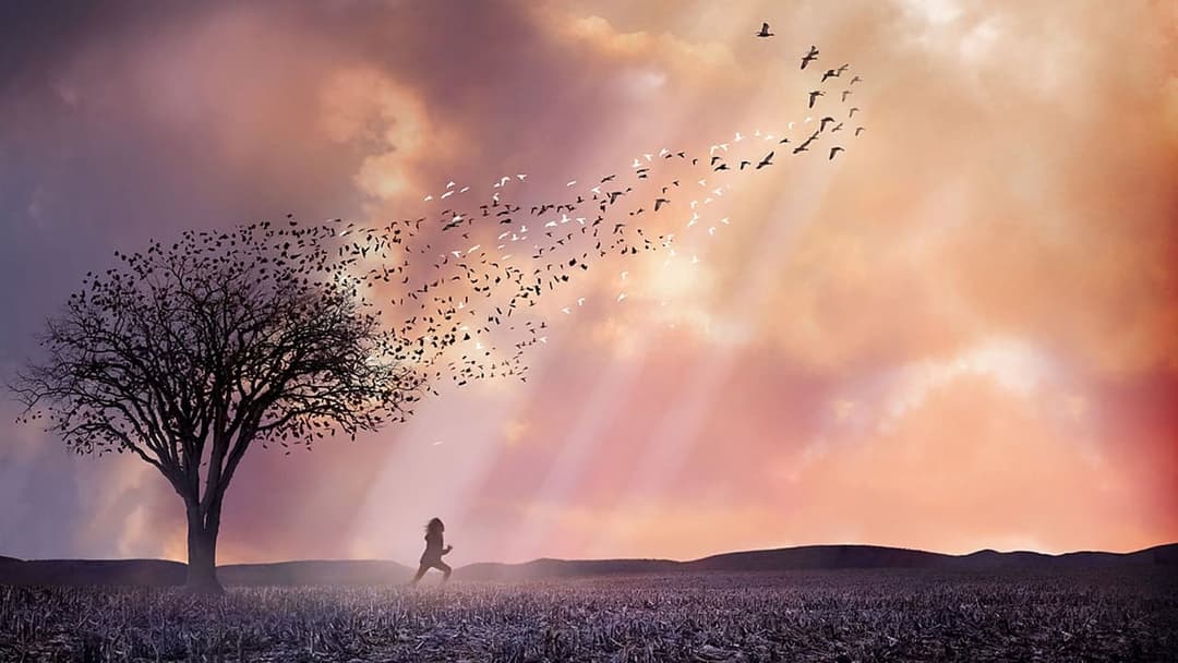 In meinem Himmel backdrop 8