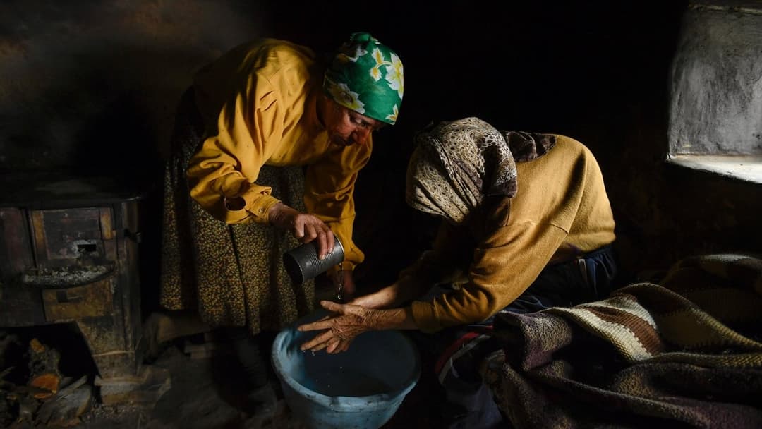 Honeyland backdrop 8