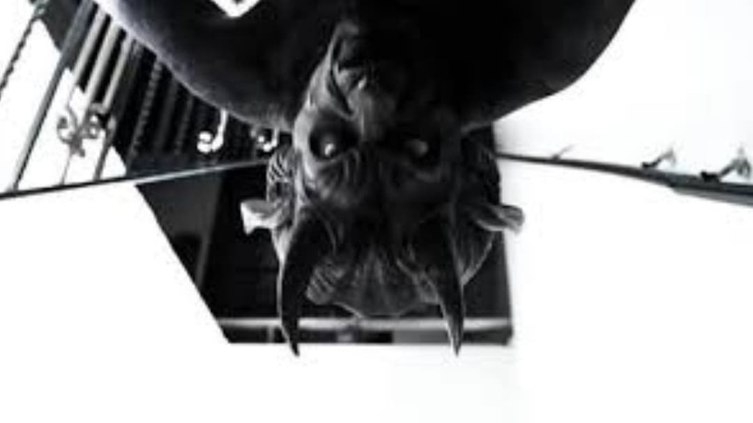 Анабель backdrop 11