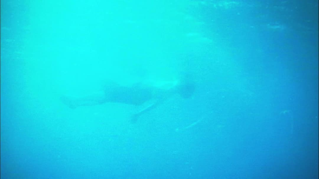 All About Lily Chou-Chou backdrop 8