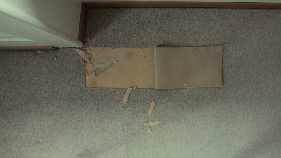 Madame Favre's backdrop 2