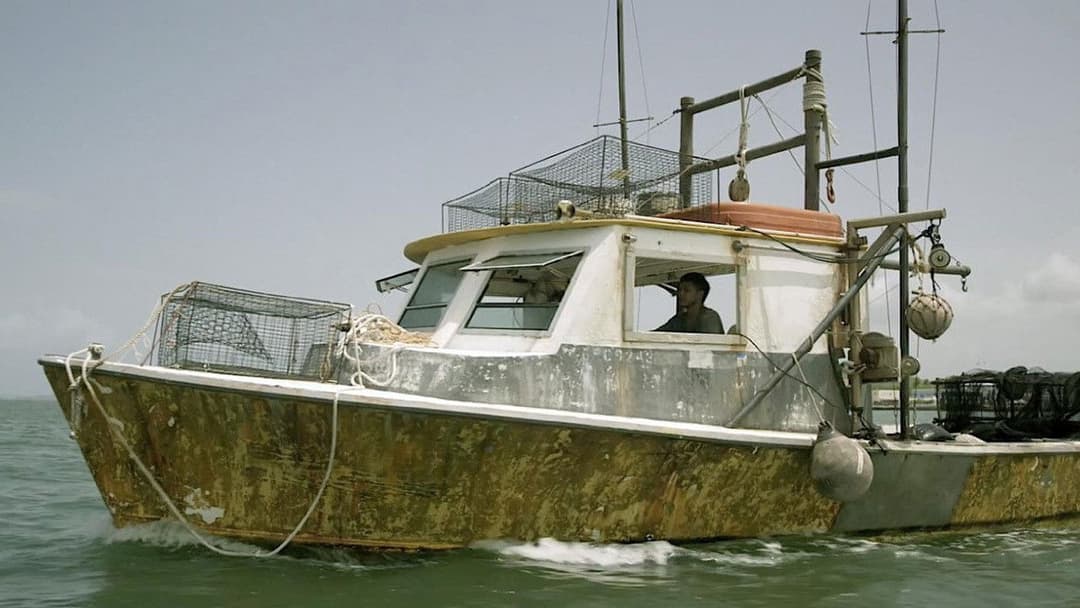 Вимагання backdrop 11